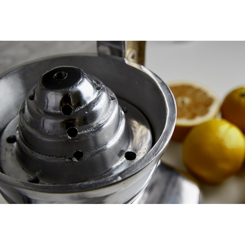 Verve Culture Countertop Citrus Juicer & Reviews Wayfair